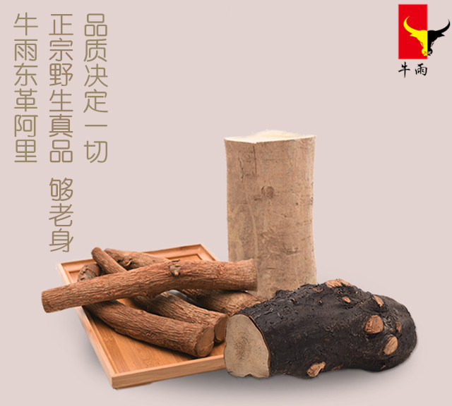 东革阿里药用功效