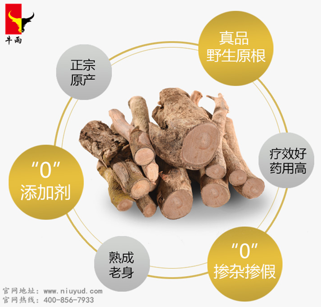 东革阿里的传说