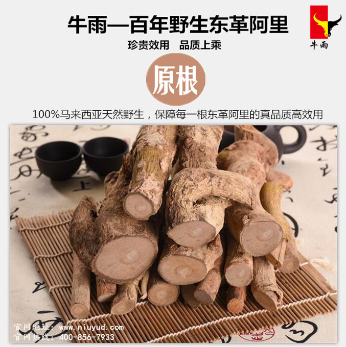 东革阿里的主要作用