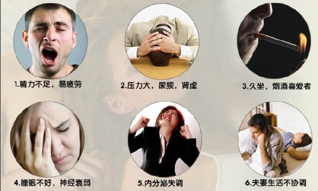 东革阿里的功效主要适用的社会各种人群